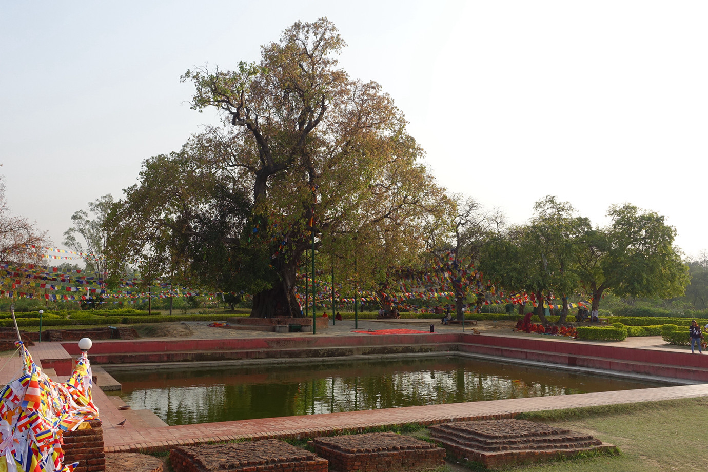 尼泊爾藍毗尼園 Lumbini 佛陀誕生地